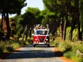 Matrimonio a Roma / Ricevimento a Villa Marta Madama