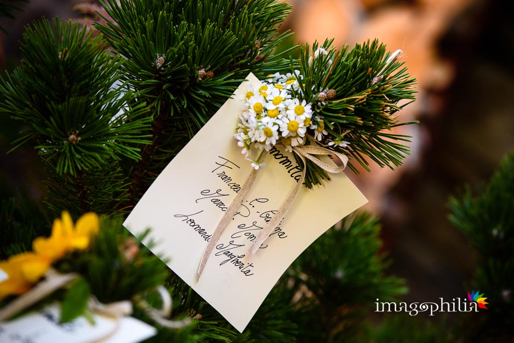 Destination wedding in Valsavarenche, Valle d'Aosta