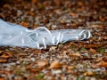 Il velo della sposa tra le foglie in autunno fuori del Santuario della Madonna del Tufo a Rocca di Papa