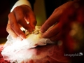 Matrimonio a Roma / Ricevimento a Vermicino